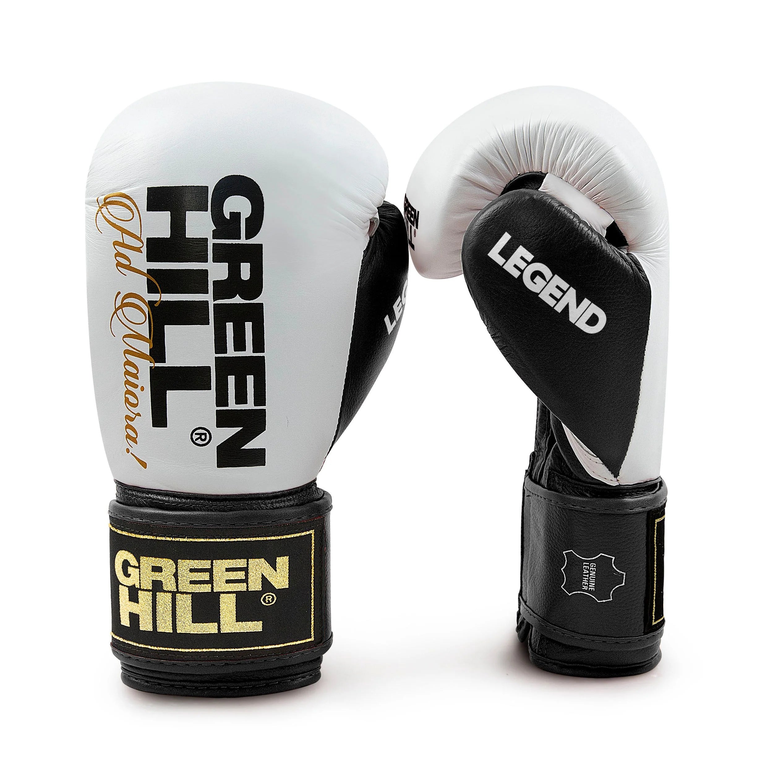 Boxing Gloves “LEGEND”  GOLD EDITION