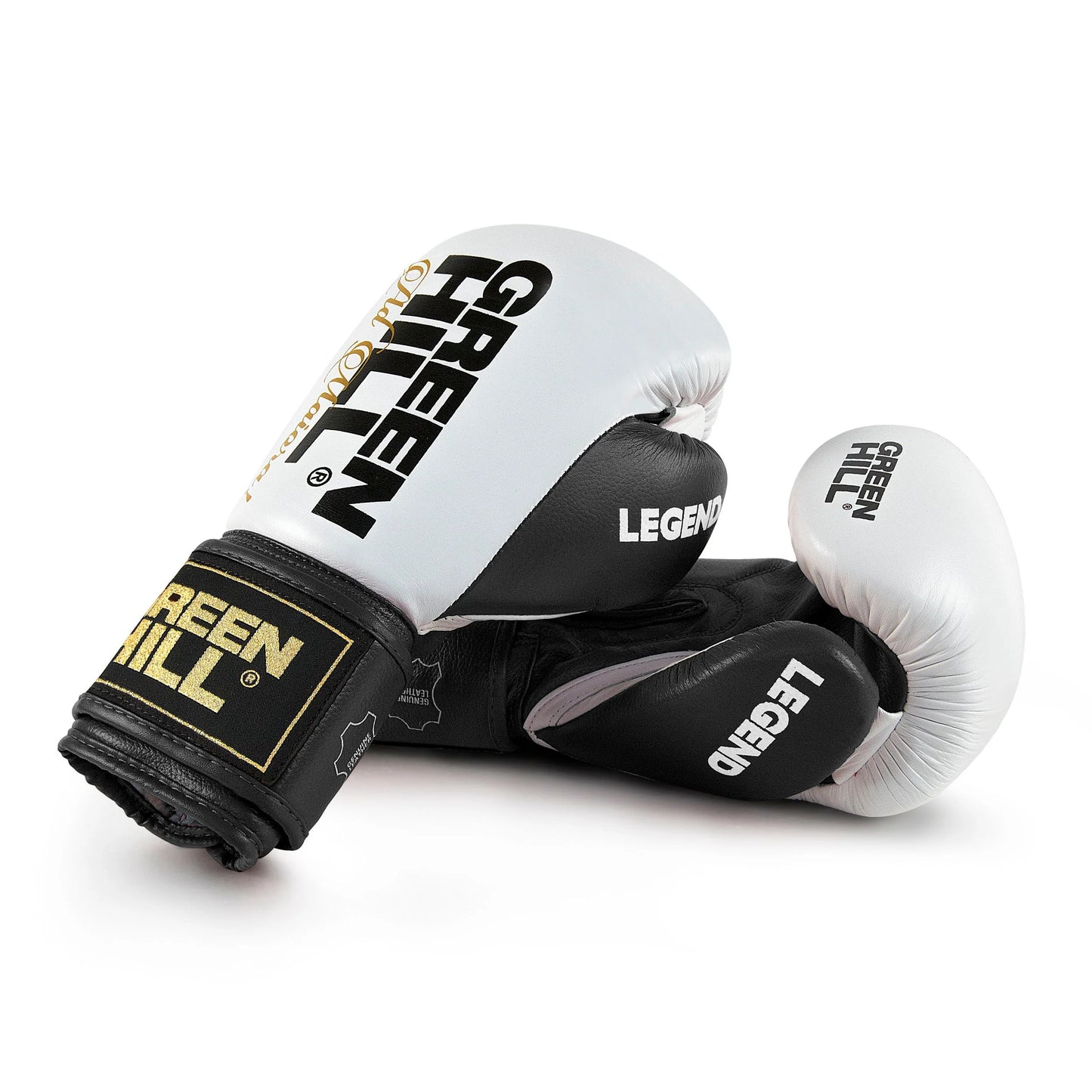 Boxing Gloves “LEGEND”  GOLD EDITION
