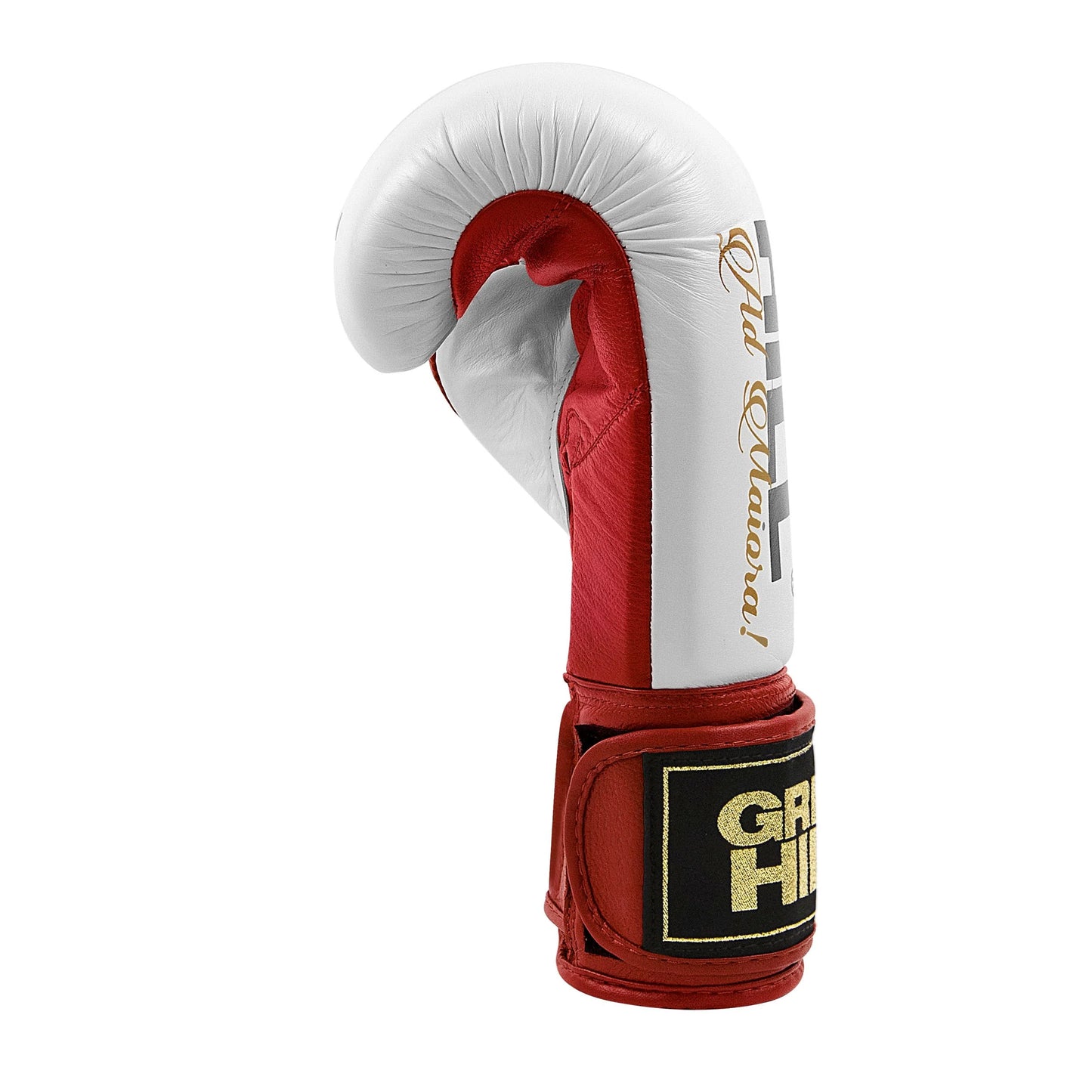Boxing Gloves “LEGEND”  GOLD EDITION