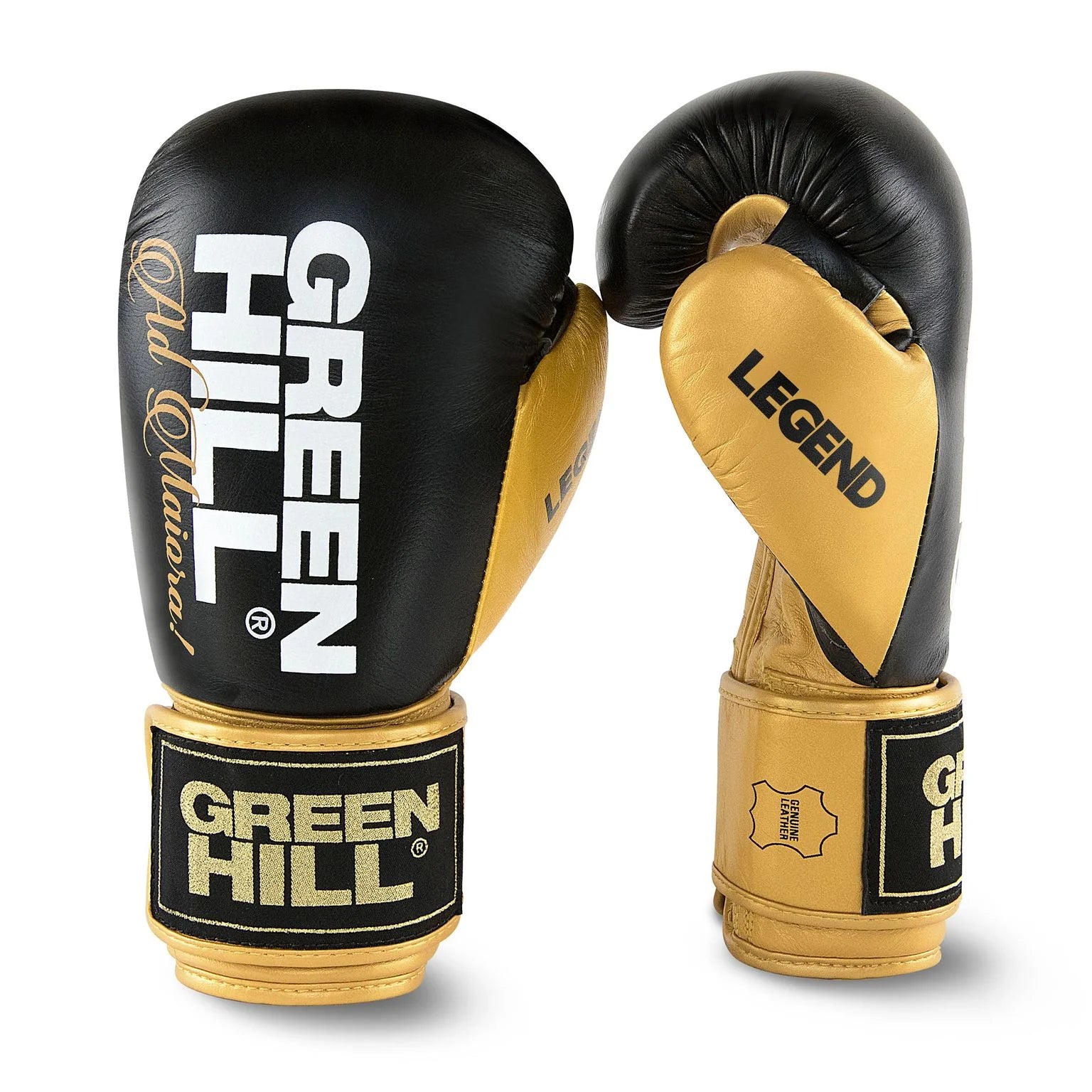 Boxing Gloves “LEGEND”  GOLD EDITION
