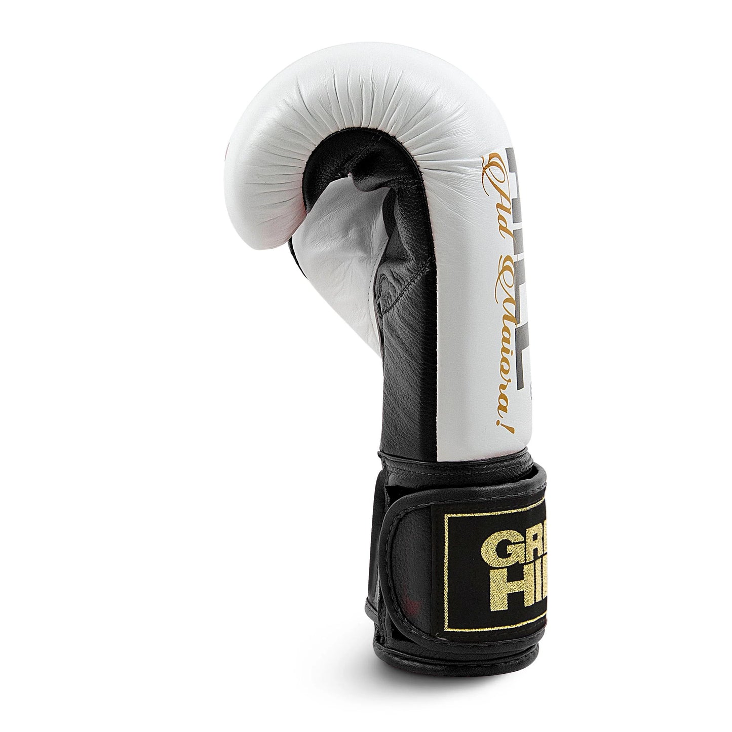 Boxing Gloves “LEGEND”  GOLD EDITION